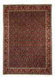 Bidjar Tæppe 345x245cm - Persisk tæppe