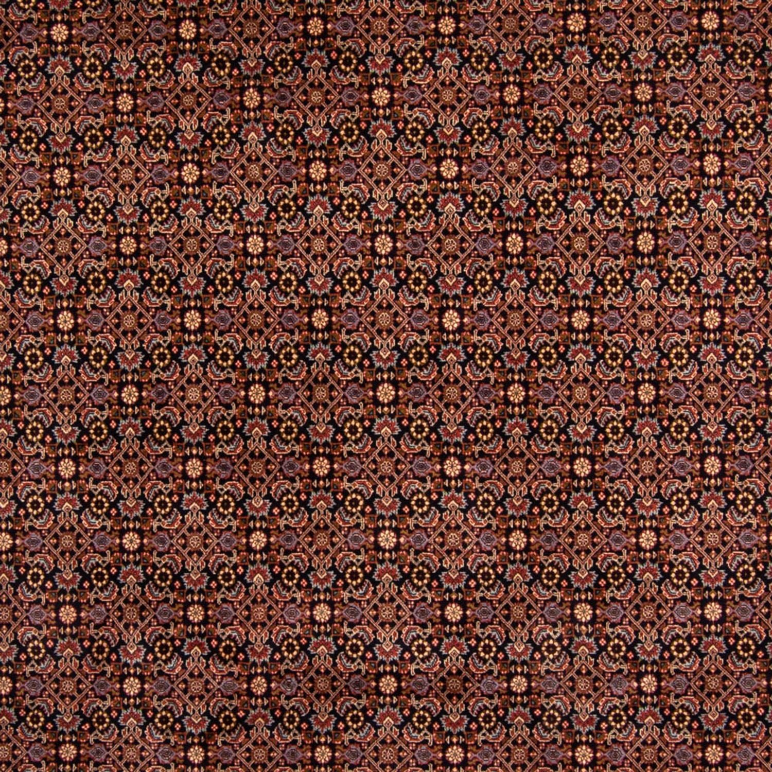 Persisk tæppe - Bijar - 345 x 245 cm - brun