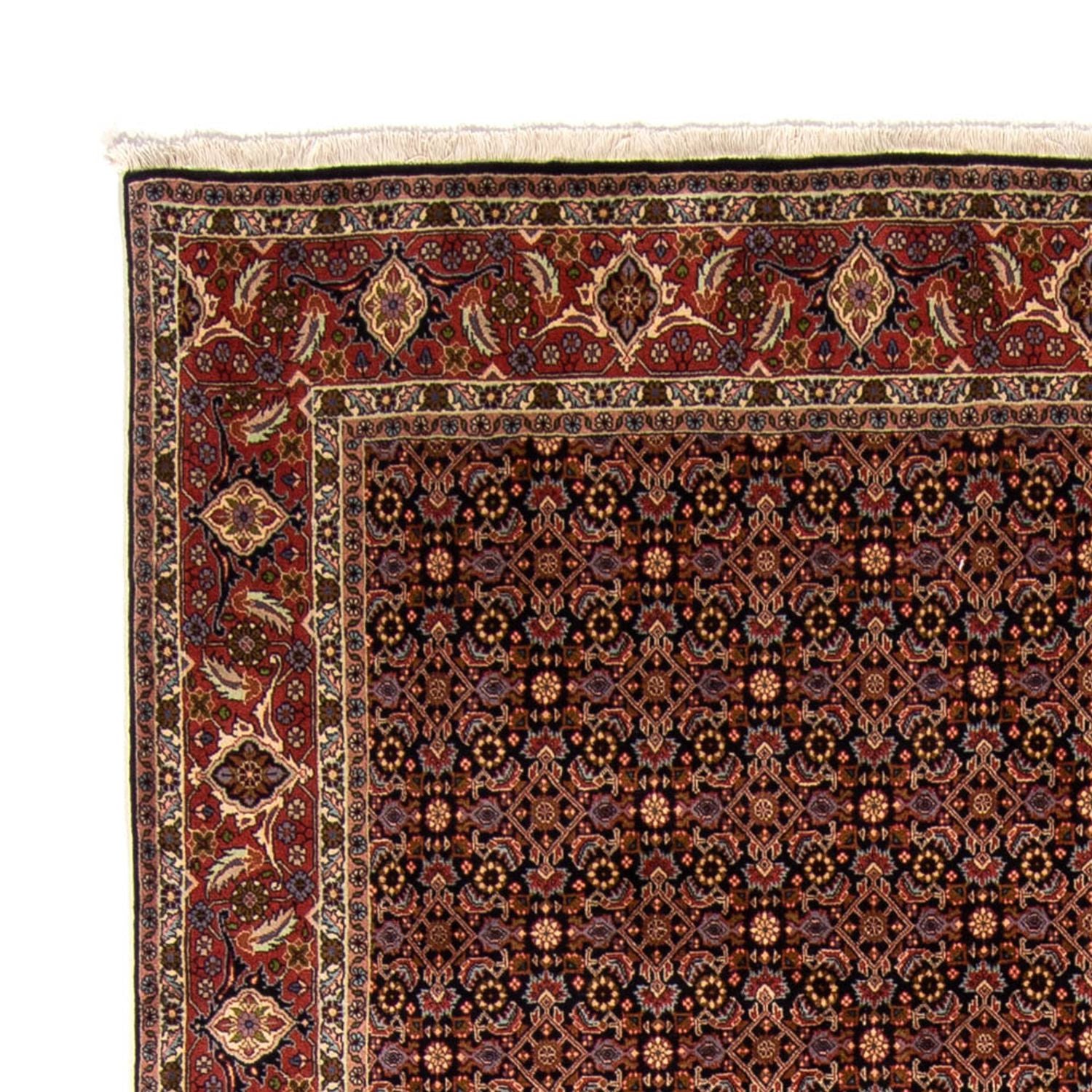Persisk tæppe - Bijar - 345 x 245 cm - brun