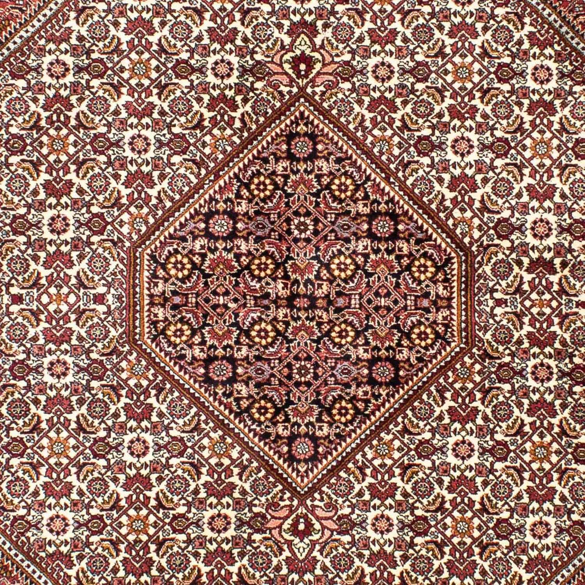 Persisk tæppe - Bijar - 240 x 170 cm - beige