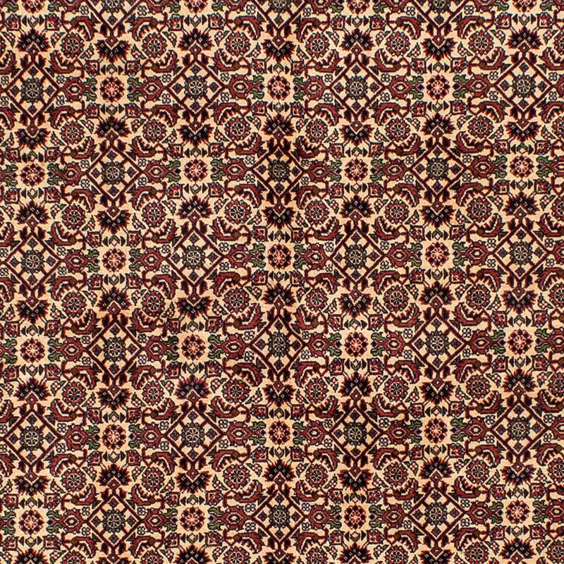 Persisk tæppe - Bijar - 249 x 172 cm - brun