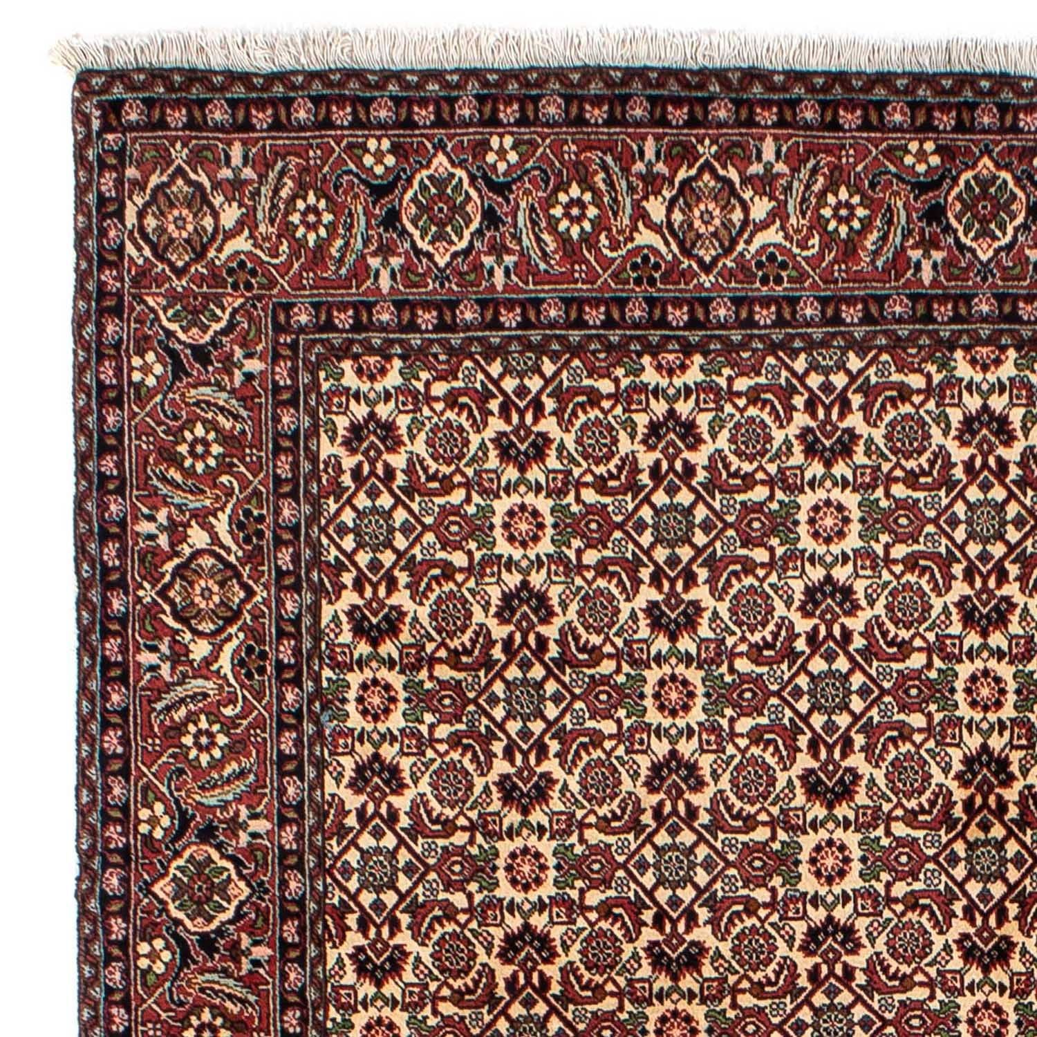 Persisk tæppe - Bijar - 249 x 172 cm - brun