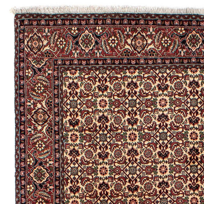 Persisk tæppe - Bijar - 249 x 172 cm - brun