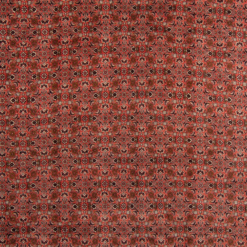 Persisk tæppe - Bijar - 357 x 248 cm - mørkerød