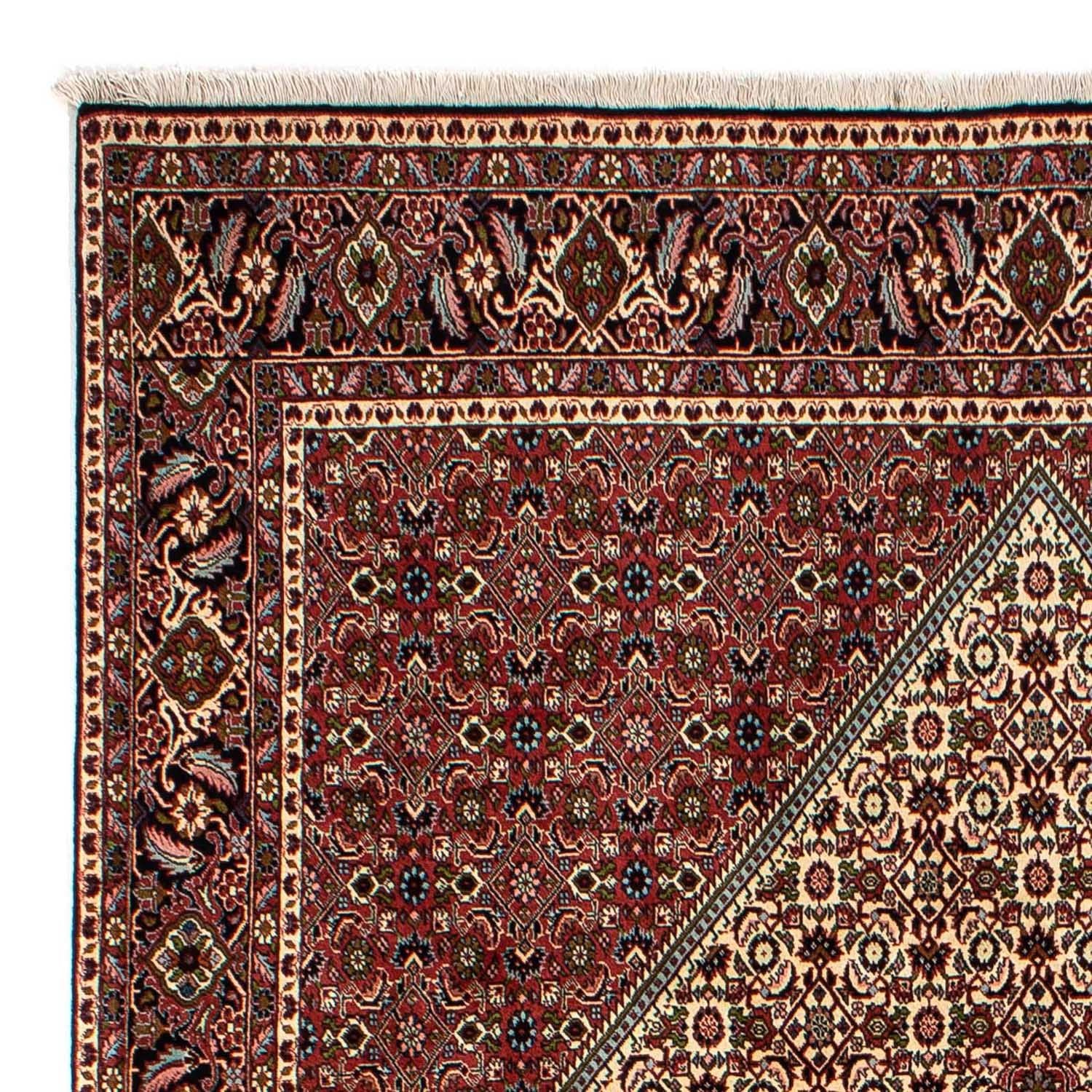 Persisk tæppe - Bijar - 300 x 200 cm - beige
