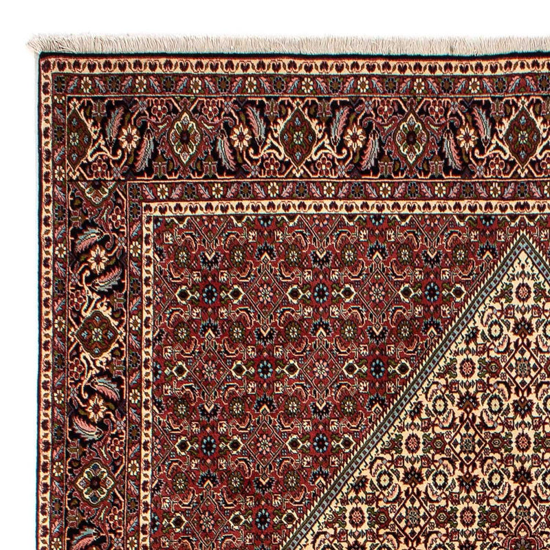 Persisk tæppe - Bijar - 300 x 200 cm - beige
