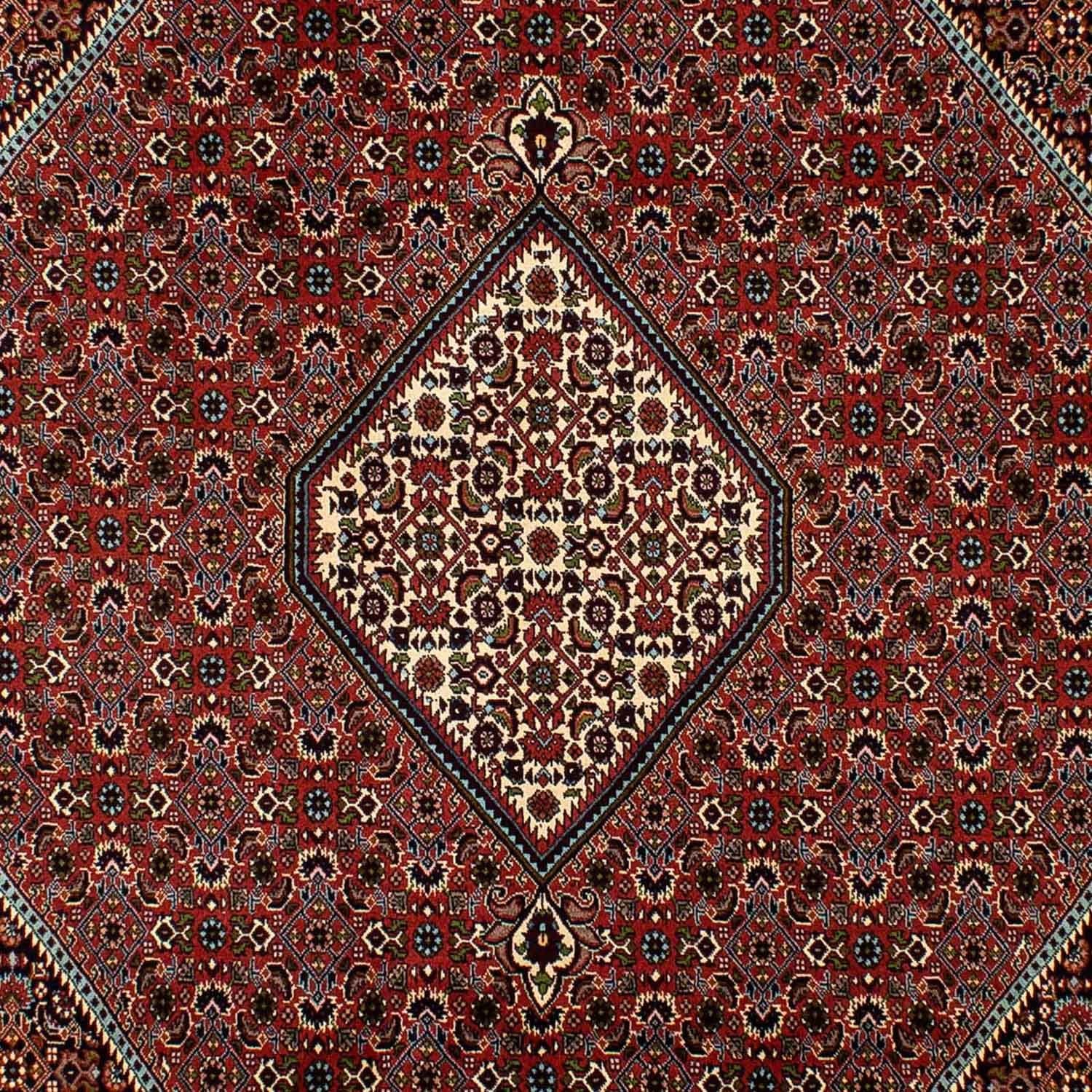 Persisk tæppe - Bijar - 300 x 202 cm - brun