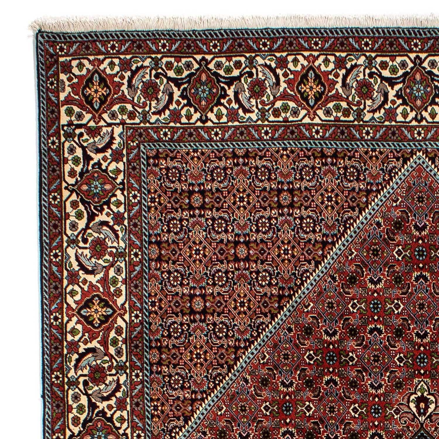 Persisk tæppe - Bijar - 300 x 202 cm - brun