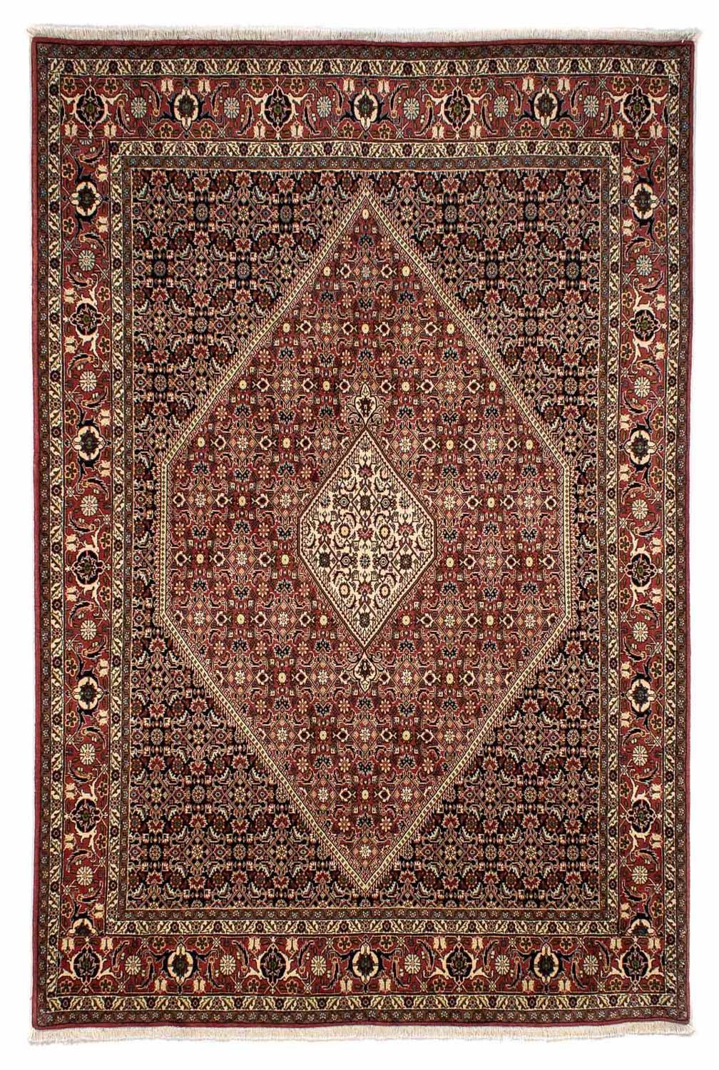 Persisk tæppe - Bijar - 290 x 198 cm - brun