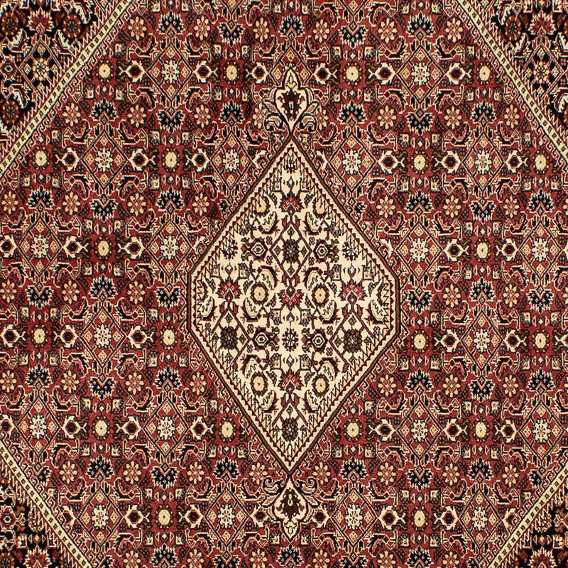 Persisk tæppe - Bijar - 290 x 198 cm - brun
