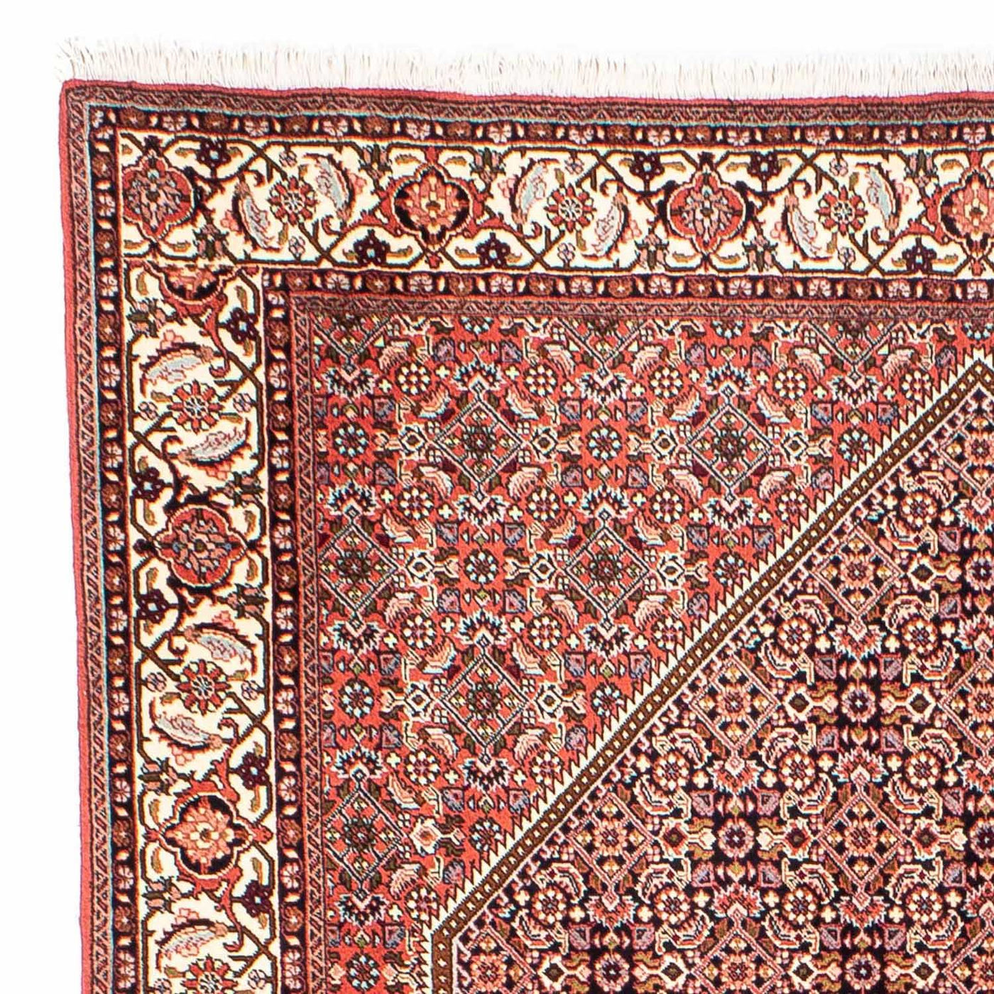 Bidjar Tæppe 250x169cm - Persisk tæppe