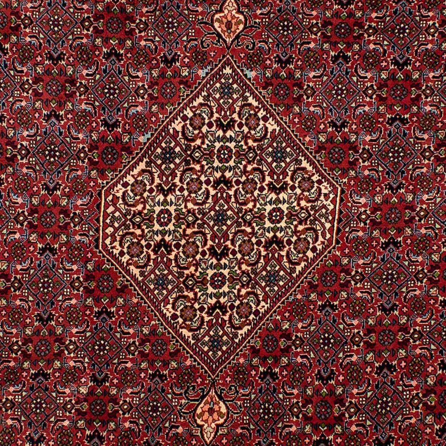 Persisk tæppe - Bijar - 290 x 206 cm - mørkerød