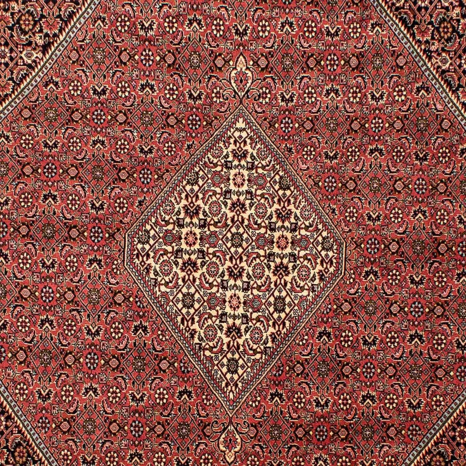 Persisk tæppe - Bijar - 293 x 205 cm - lysrød