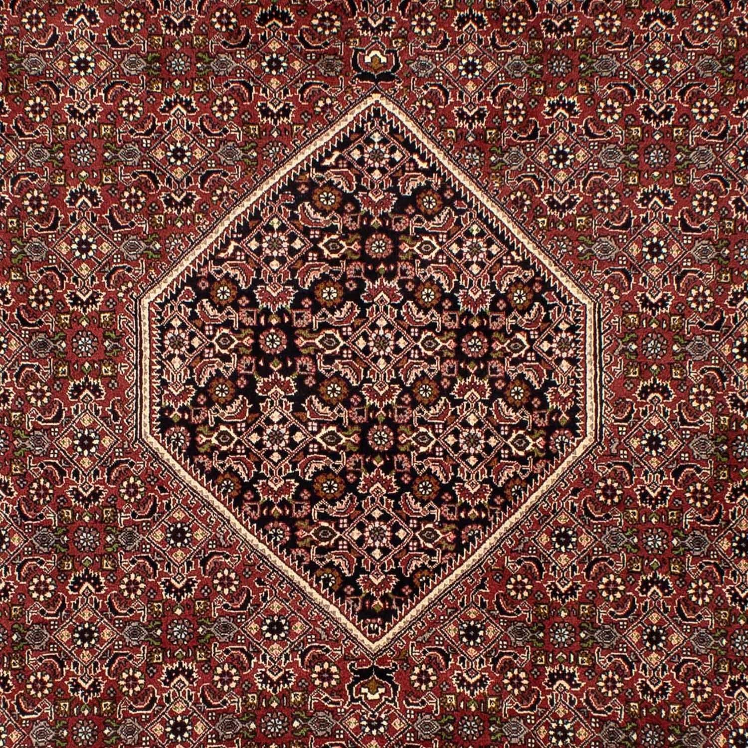 Persisk tæppe - Bijar - 300 x 197 cm - brun