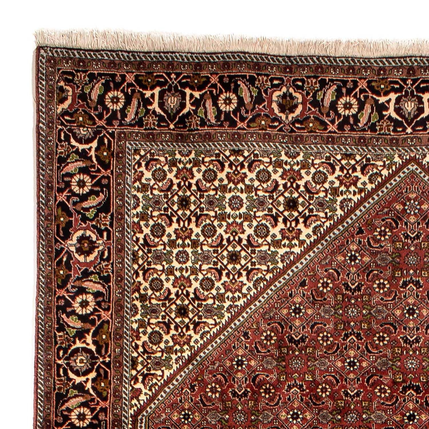 Persisk tæppe - Bijar - 300 x 197 cm - brun