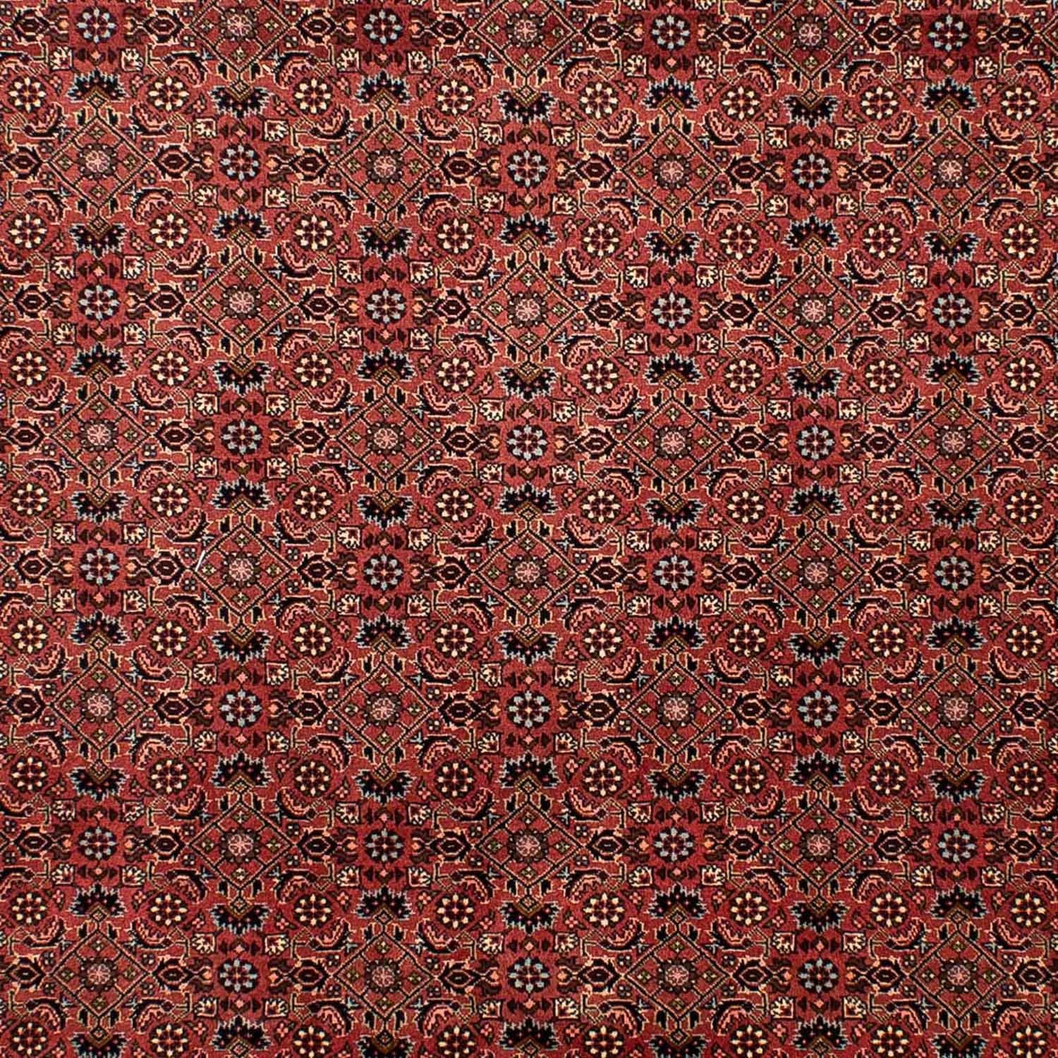 Persisk tæppe - Bijar - 292 x 203 cm - mørkerød