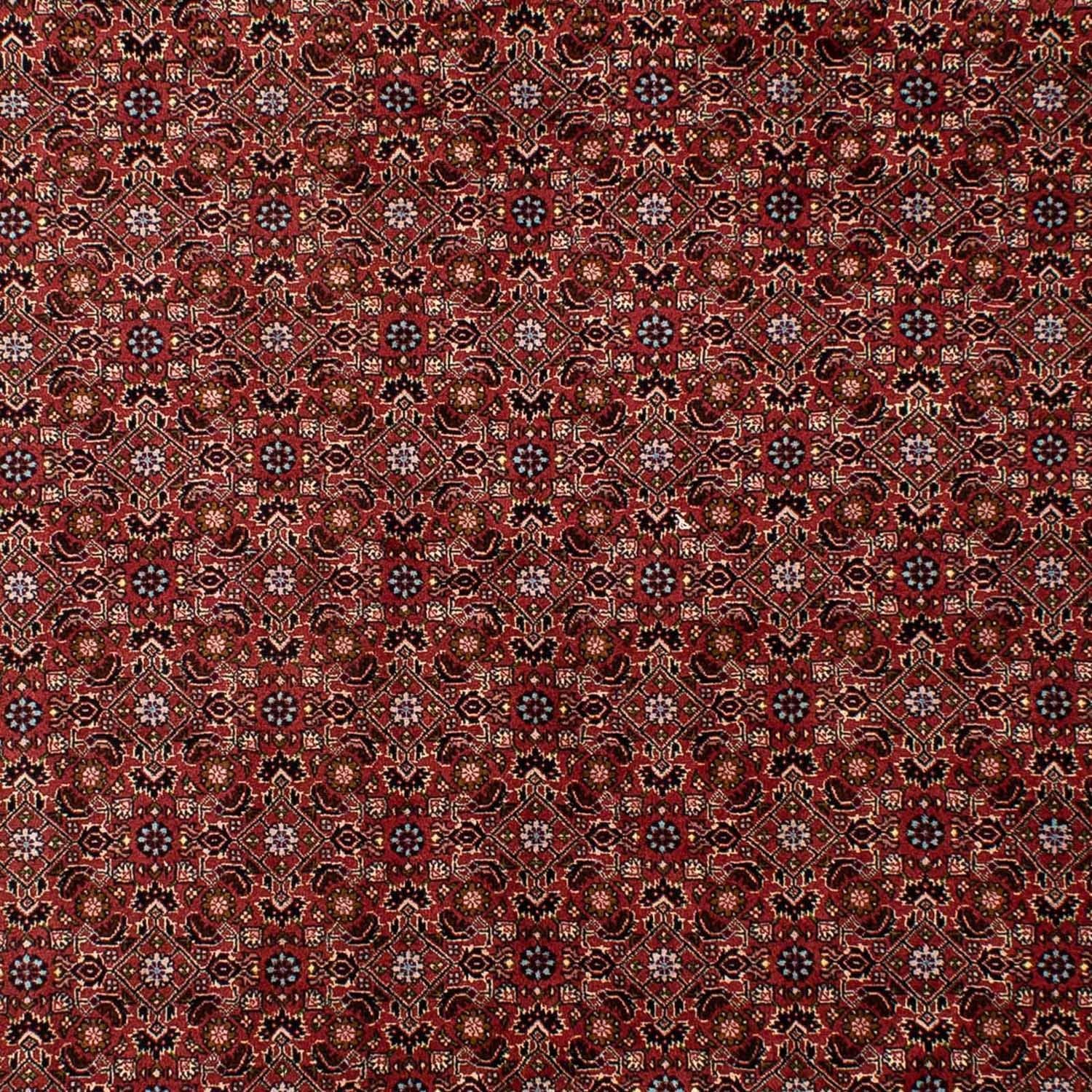 Persisk tæppe - Bijar - 288 x 198 cm - mørkerød