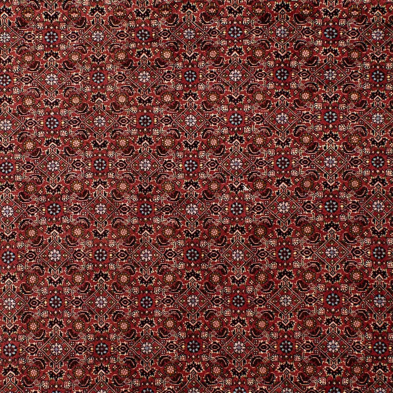 Persisk tæppe - Bijar - 288 x 198 cm - mørkerød