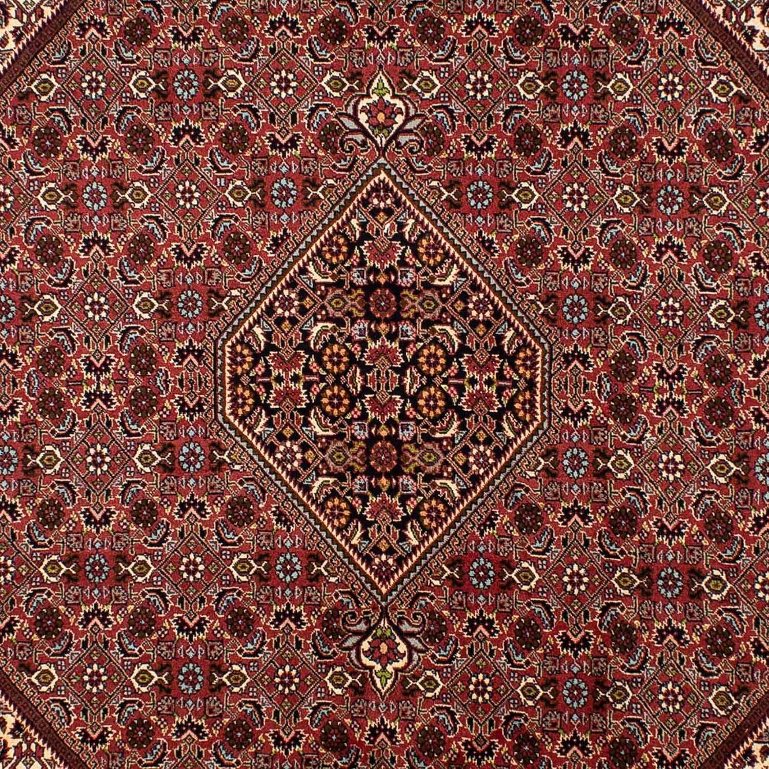 Persisk tæppe - Bijar - 297 x 197 cm - brun