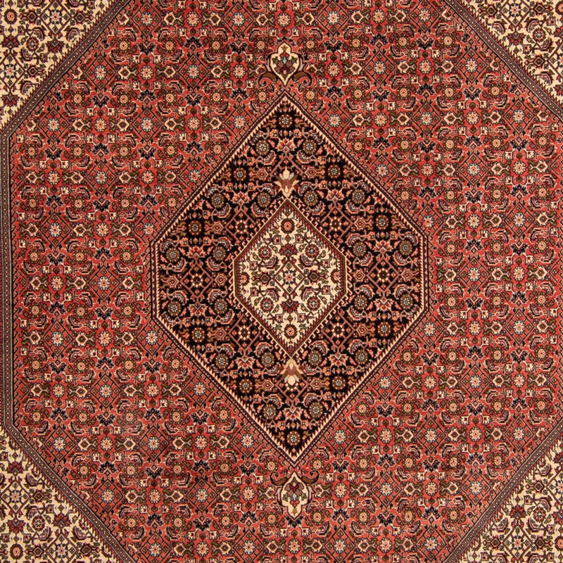 Persisk tæppe - Bijar - 343 x 250 cm - brun