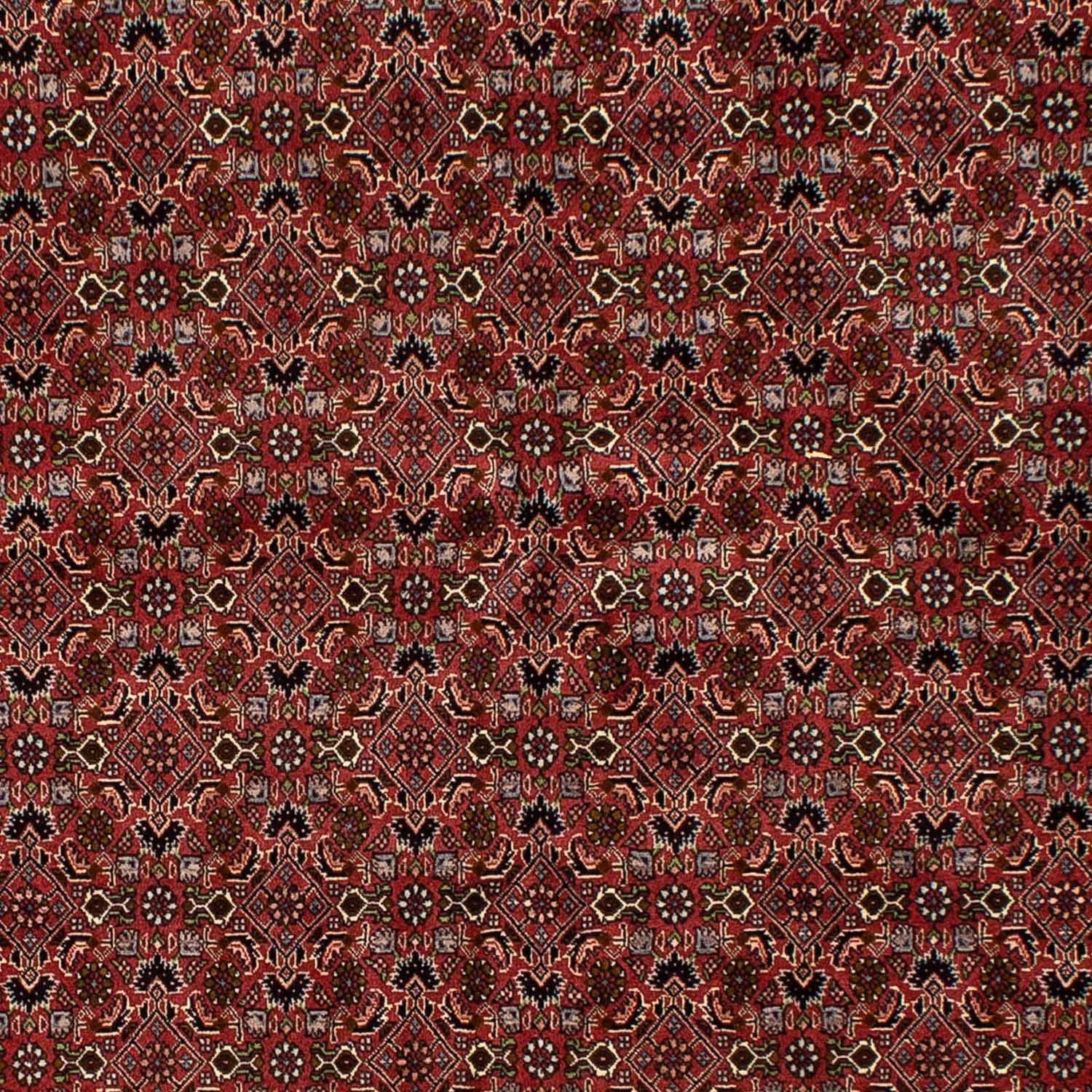 Persisk tæppe - Bijar - 245 x 177 cm - mørkerød