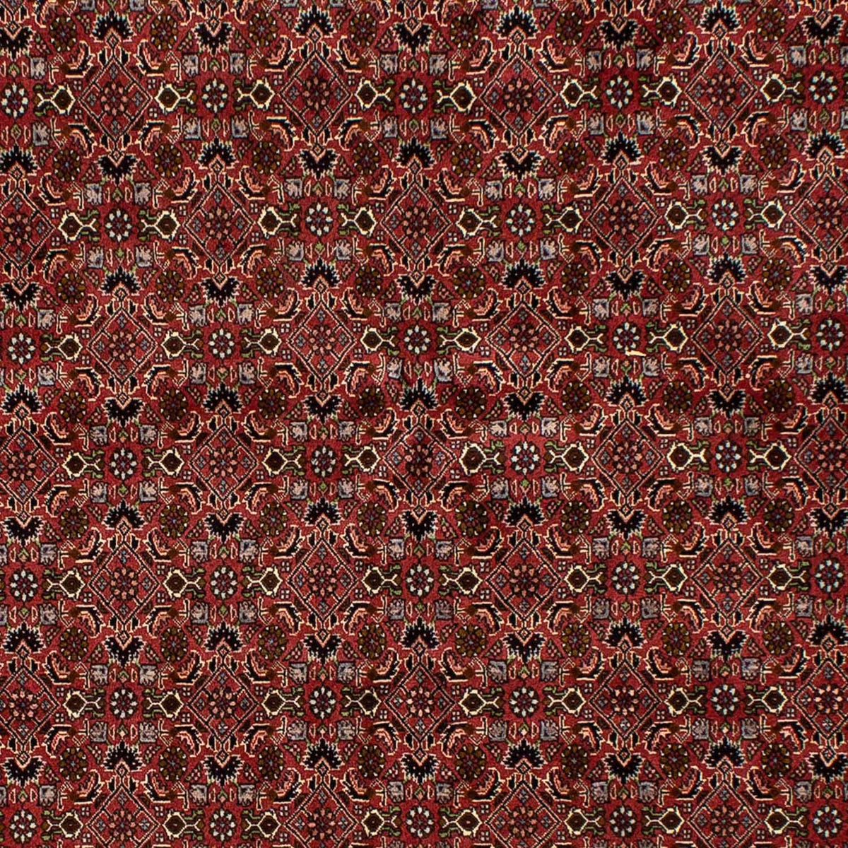 Persisk tæppe - Bijar - 245 x 177 cm - mørkerød