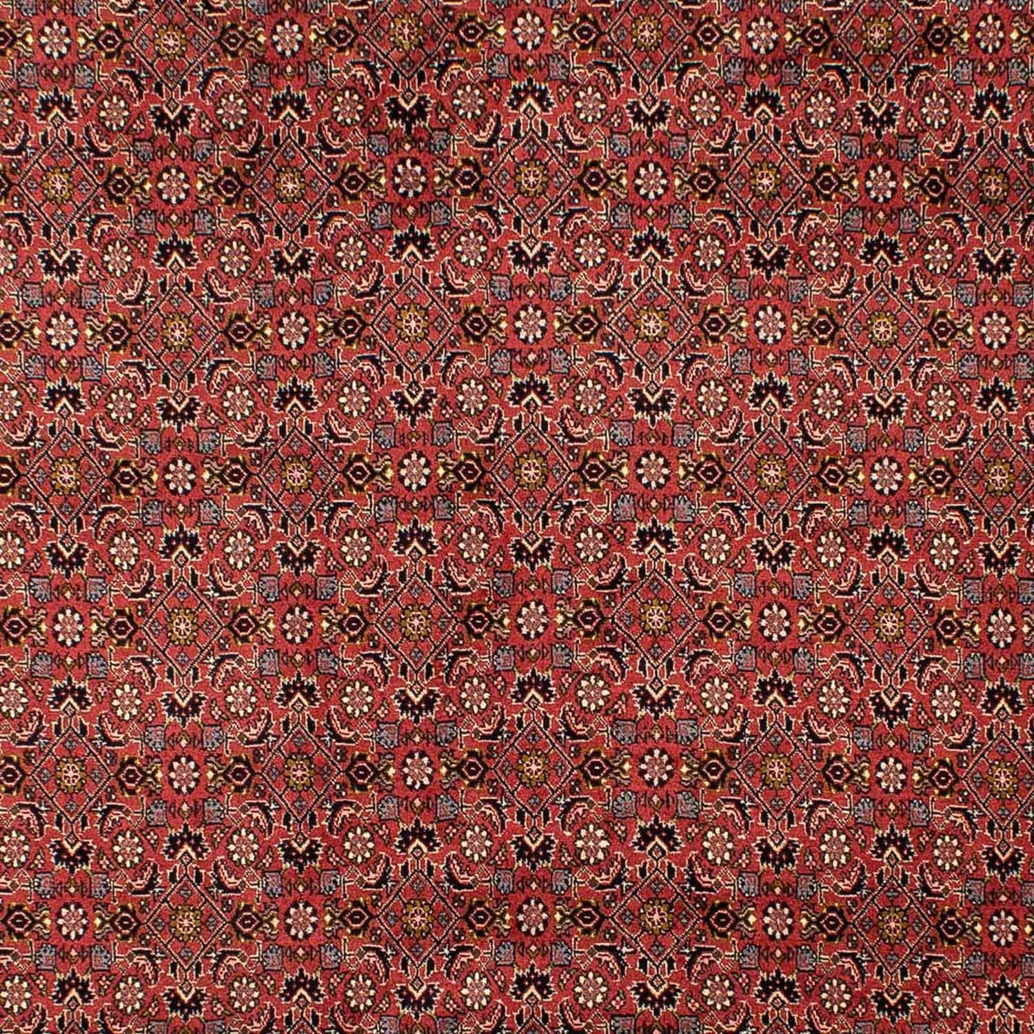 Persisk tæppe - Bijar - 293 x 206 cm - mørkerød