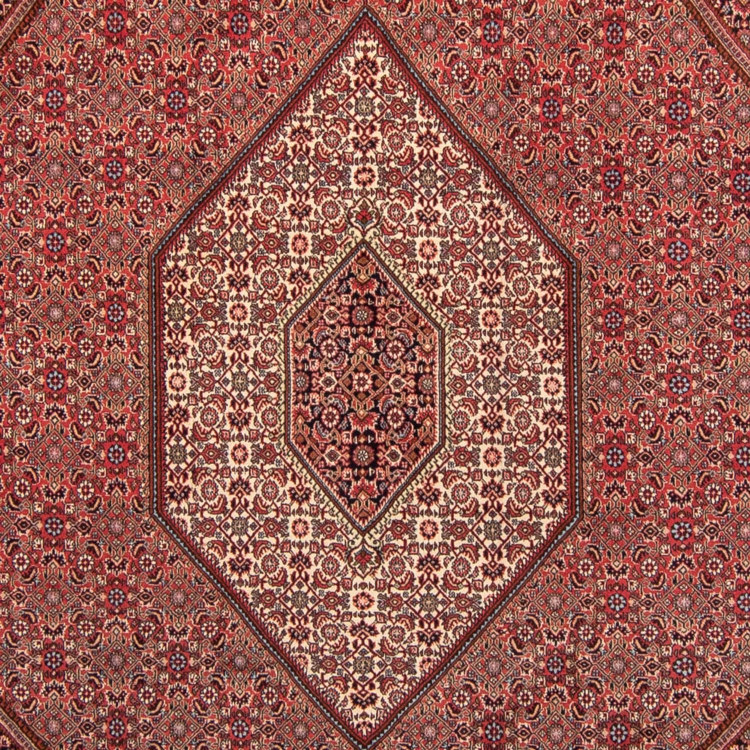 Persisk tæppe - Bijar - 350 x 248 cm - lysrød