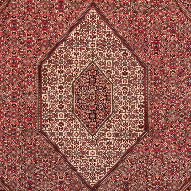 Persisk tæppe - Bijar - 350 x 248 cm - lysrød