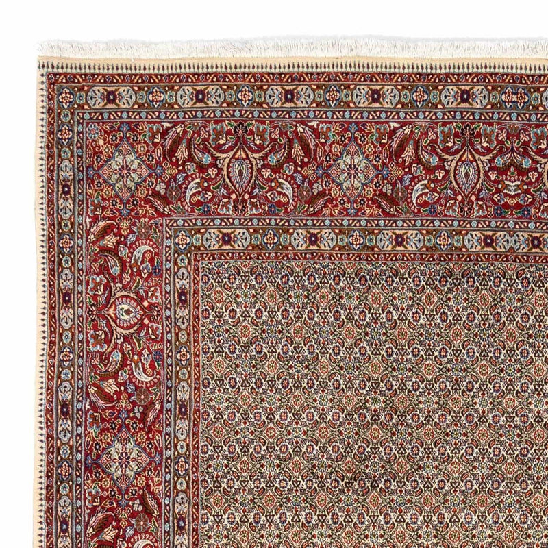 Persisk tæppe - Classic - 346 x 238 cm - lysrød