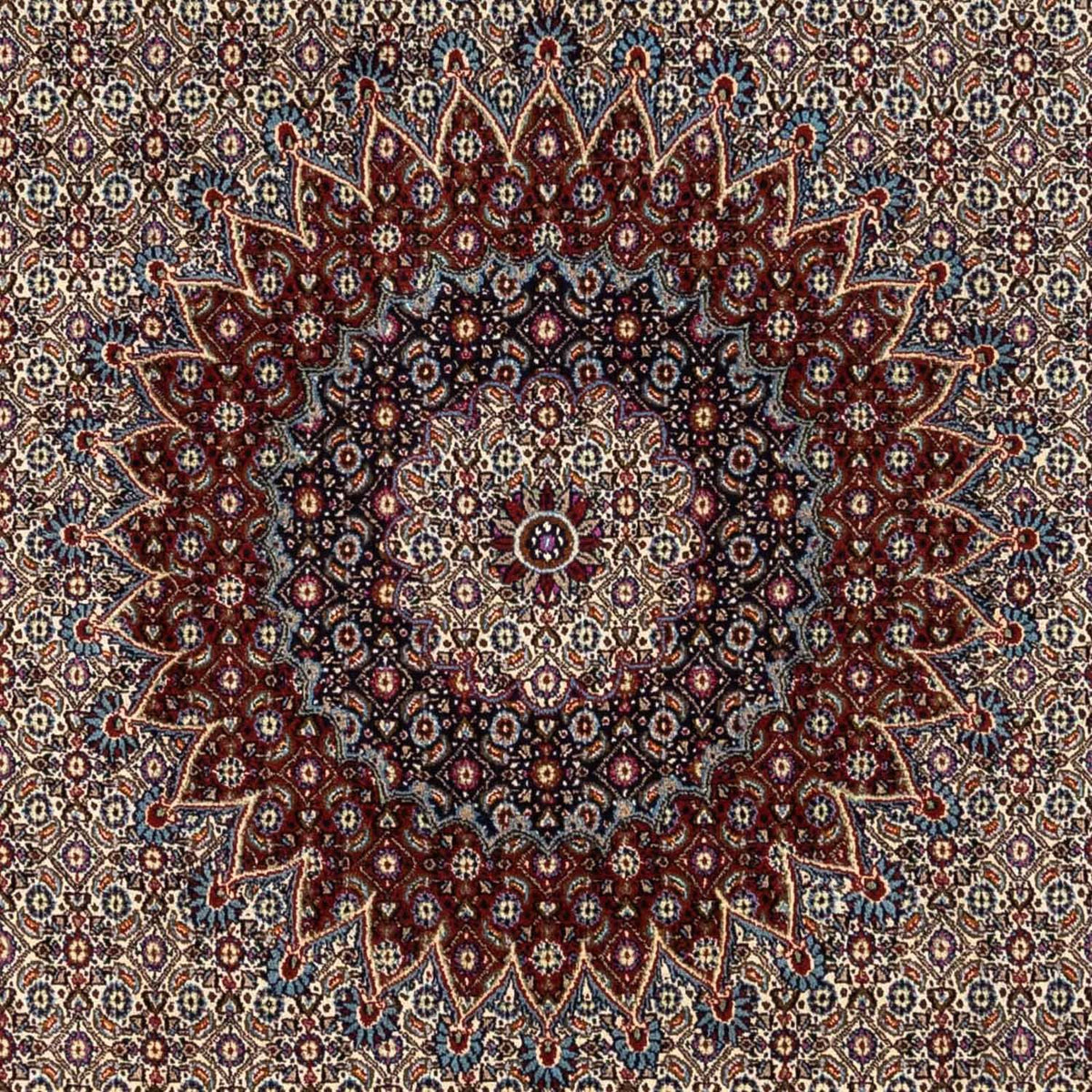 Persisk tæppe - Classic - 346 x 248 cm - beige