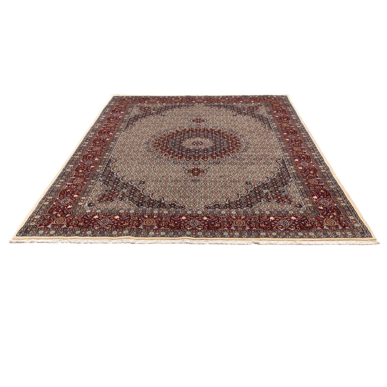 Persisk tæppe - Classic - 346 x 248 cm - beige