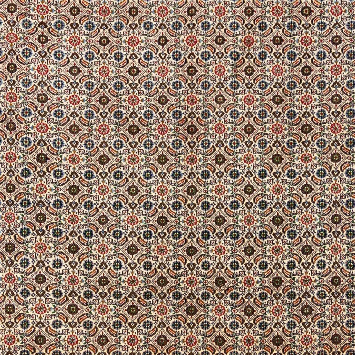 Persisk tæppe - Classic - 345 x 244 cm - beige