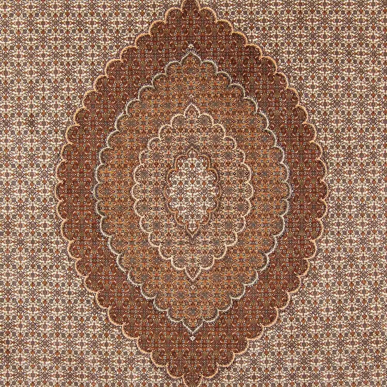 Persisk tæppe - Tabriz - 360 x 249 cm - lys brun