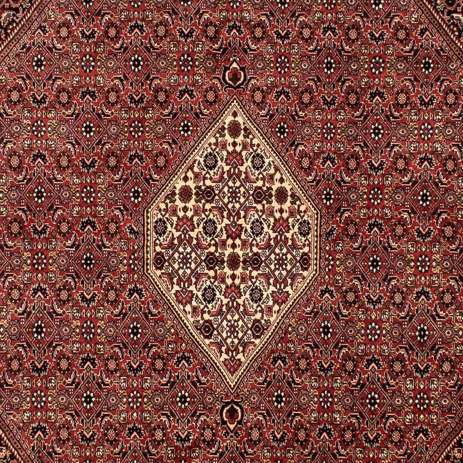 Persisk tæppe - Bijar - 288 x 200 cm - brun