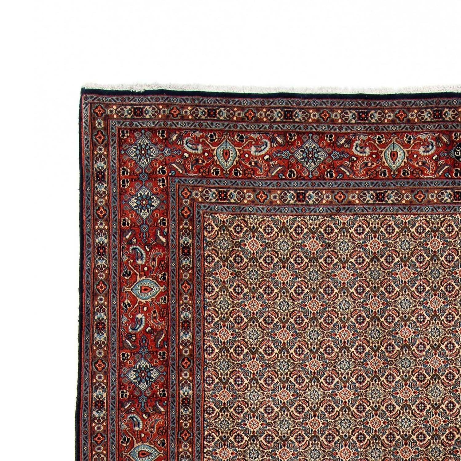 Persisk tæppe - Classic - 303 x 204 cm - beige