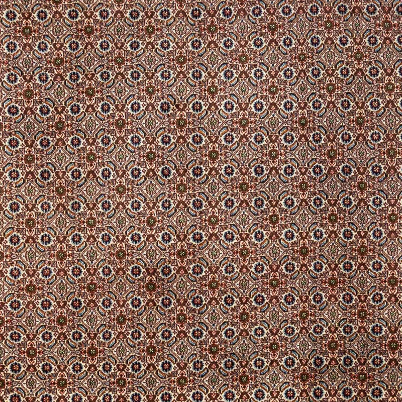 Persisk tæppe - Classic - 350 x 260 cm - brun