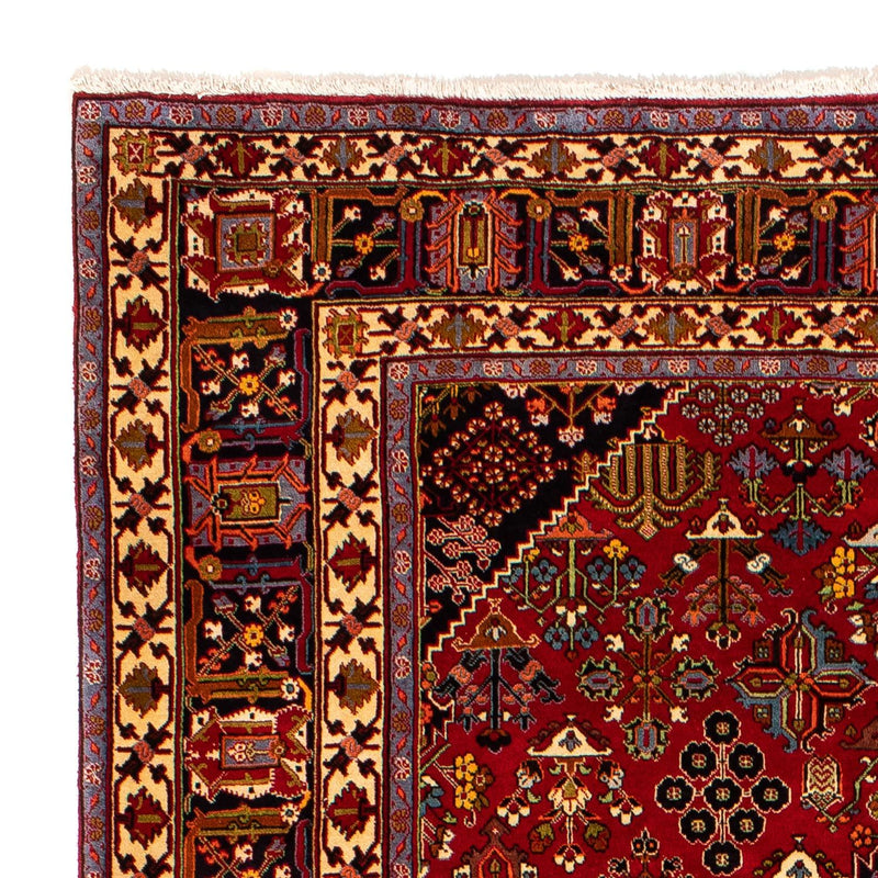 Persisk tæppe - Nomadisk - 323 x 203 cm - mørkerød