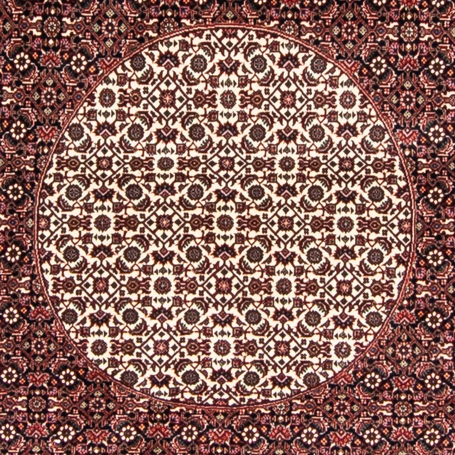 Persisk tæppe - Bijar rundt  - 247 x 247 cm - mørkerød
