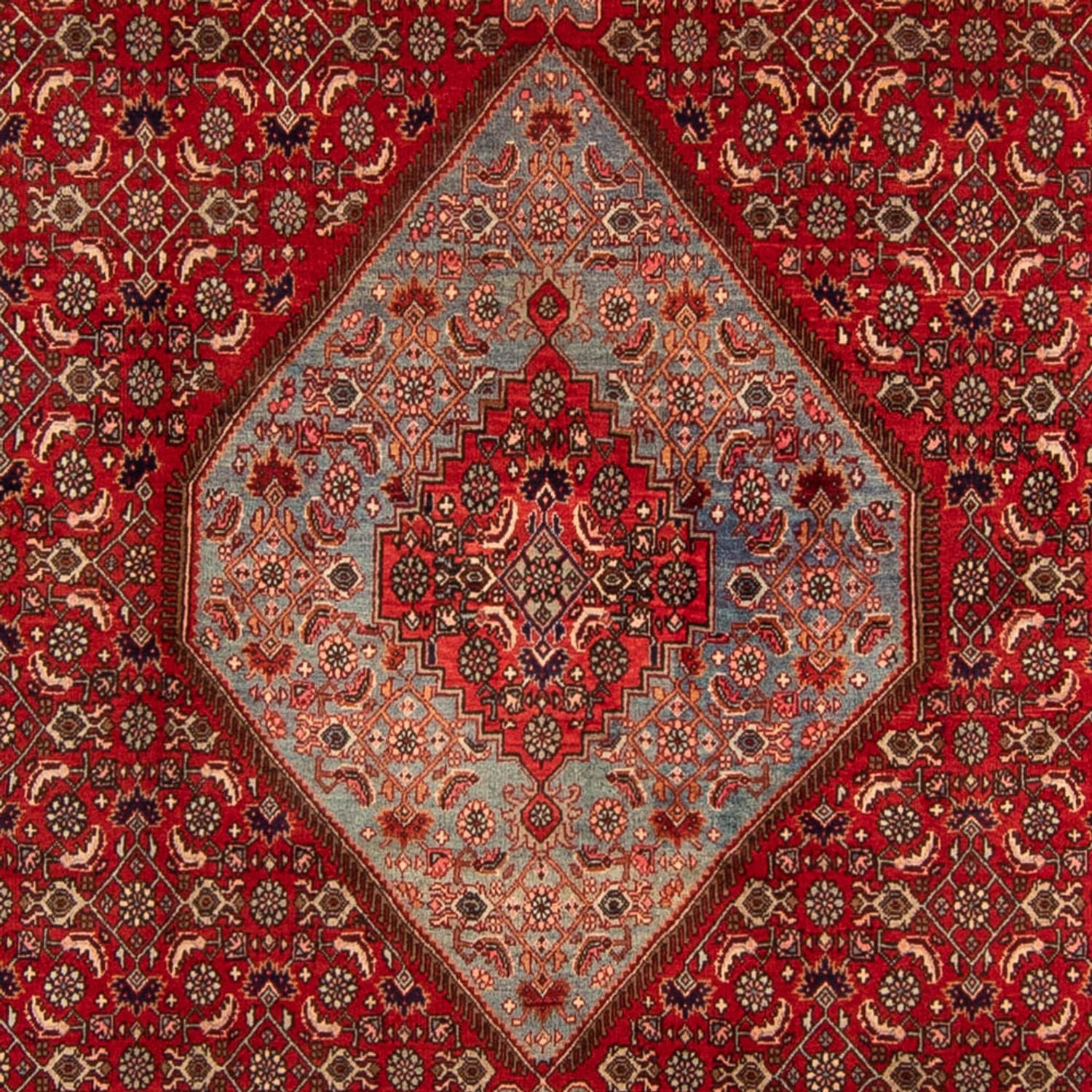 Persisk tæppe - Bijar - 332 x 228 cm - mørkerød