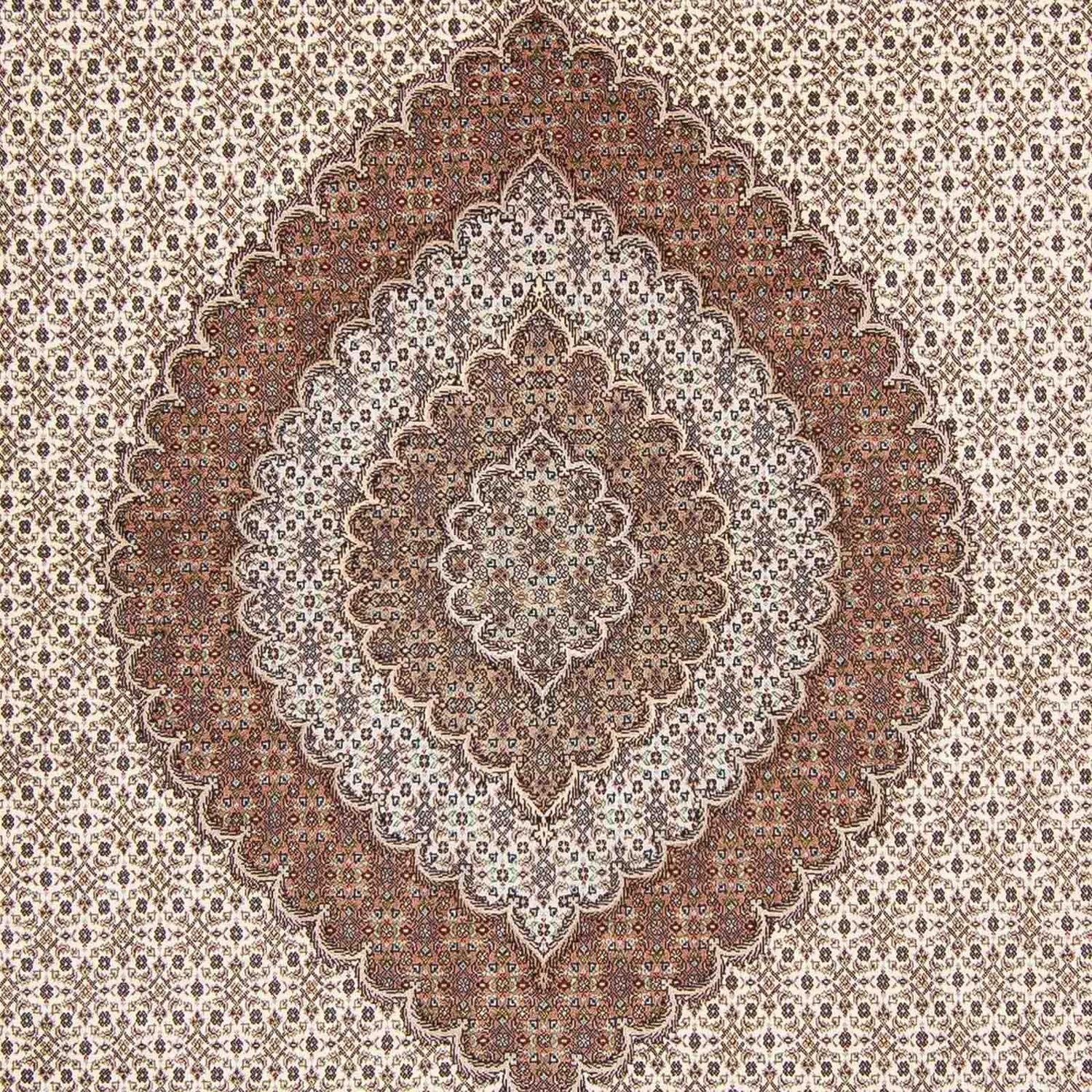 Persisk tæppe - Tabriz - 350 x 252 cm - lys brun