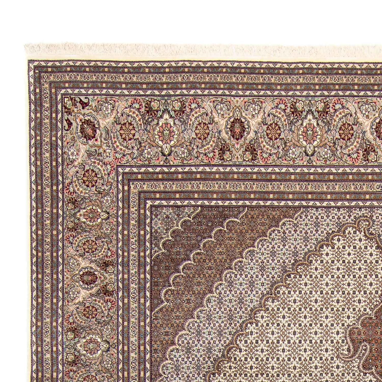 Persisk tæppe - Tabriz - 350 x 252 cm - lys brun