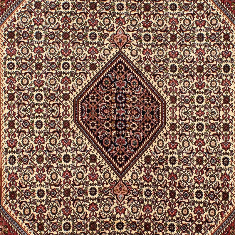 Persisk tæppe - Bijar - 294 x 197 cm - beige
