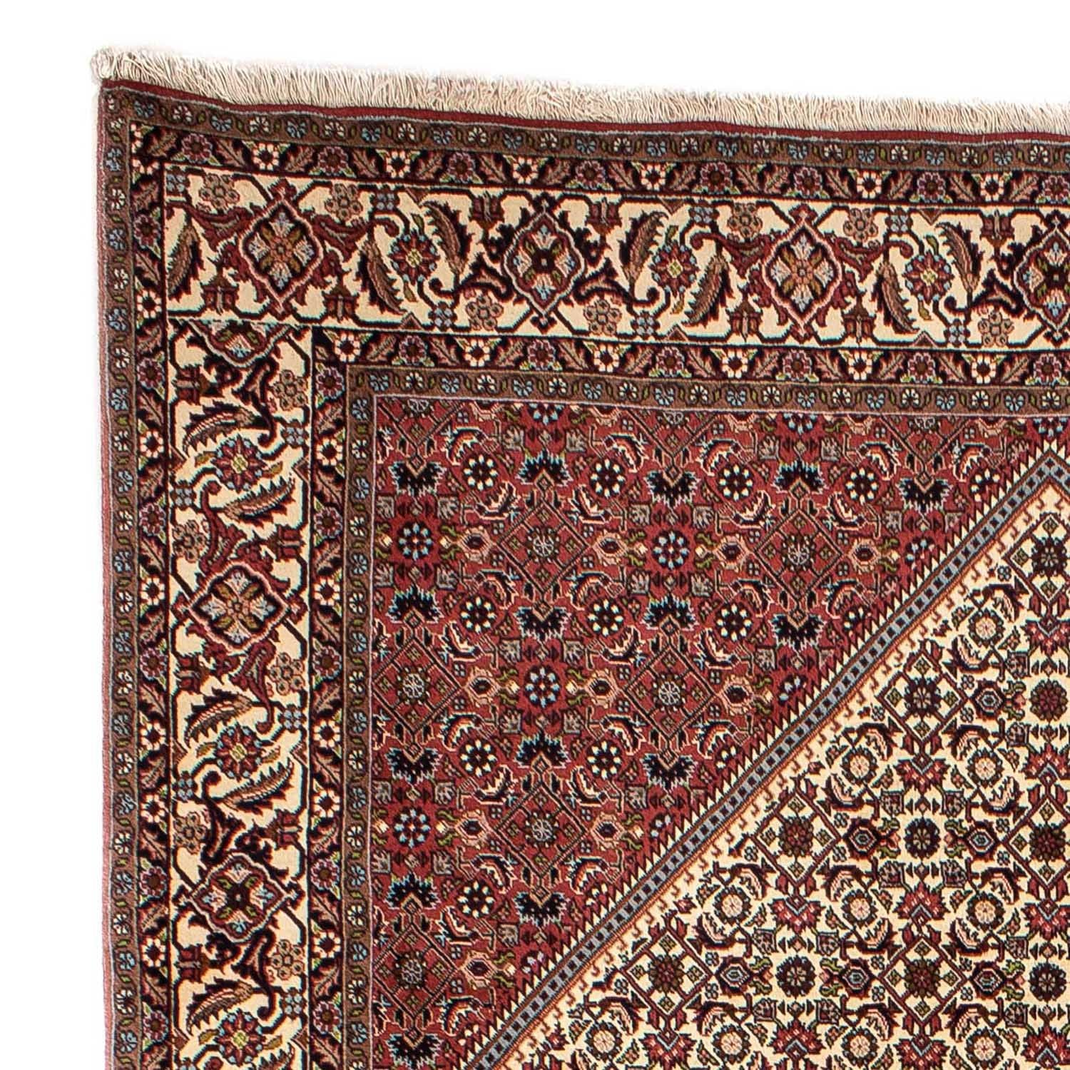 Persisk tæppe - Bijar - 294 x 197 cm - beige