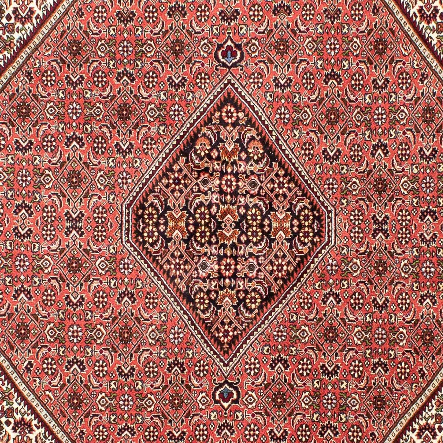 Persisk tæppe - Bijar - 243 x 174 cm - lysrød