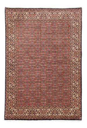 Persisk tæppe - Bijar - 251 x 172 cm - lysrød