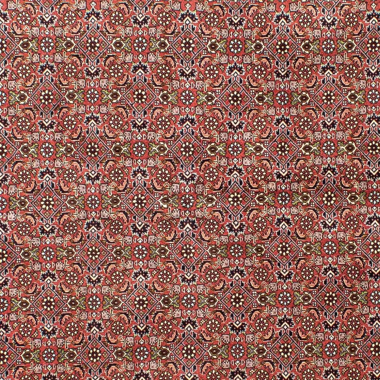 Persisk tæppe - Bijar - 251 x 172 cm - lysrød