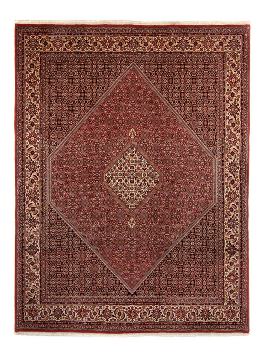 Persisk tæppe - Bijar - 338 x 250 cm - brun