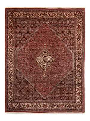 Persisk tæppe - Bijar - 338 x 250 cm - brun