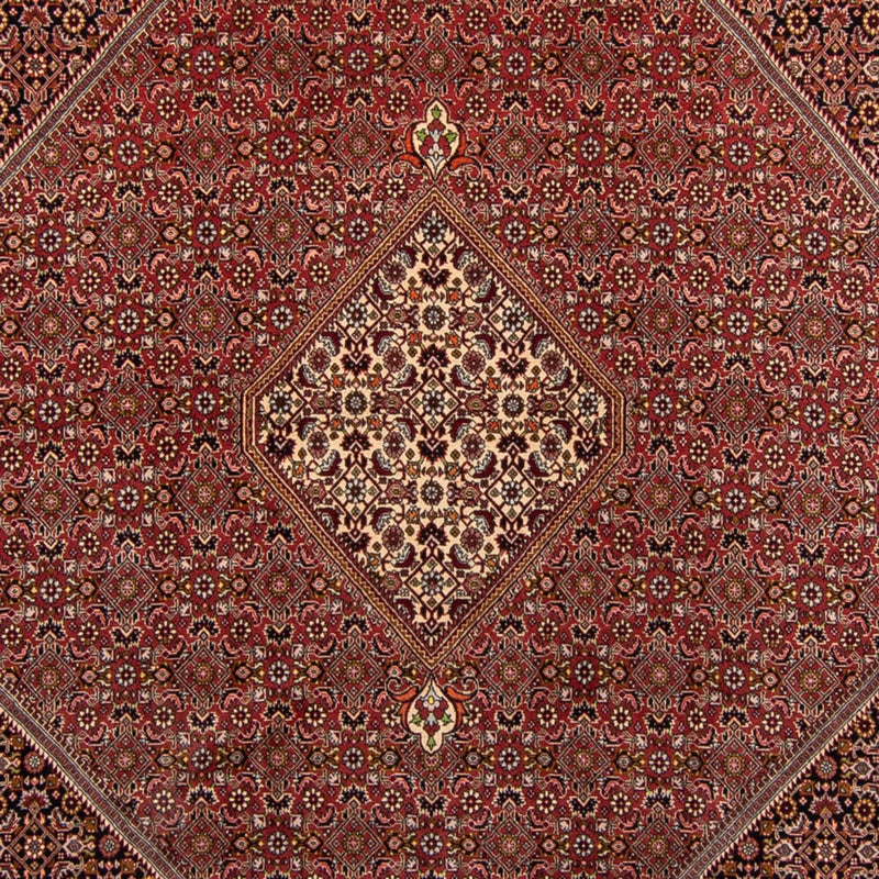 Persisk tæppe - Bijar - 338 x 250 cm - brun